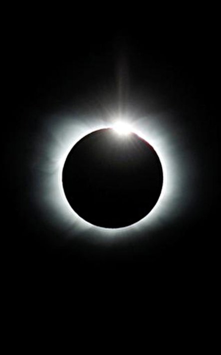 6827476.jpg