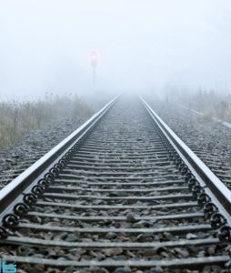 8633700.jpg